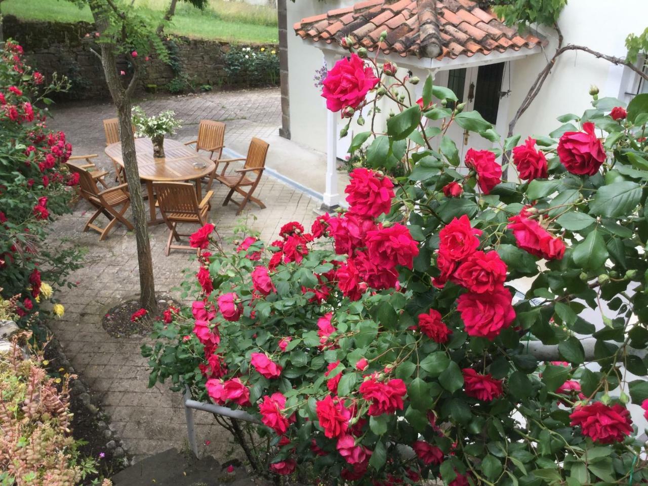Villa Elena Потес Екстериор снимка